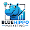 BlueHippo