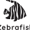 Zebrafish | Digitaal & Creatief bureau